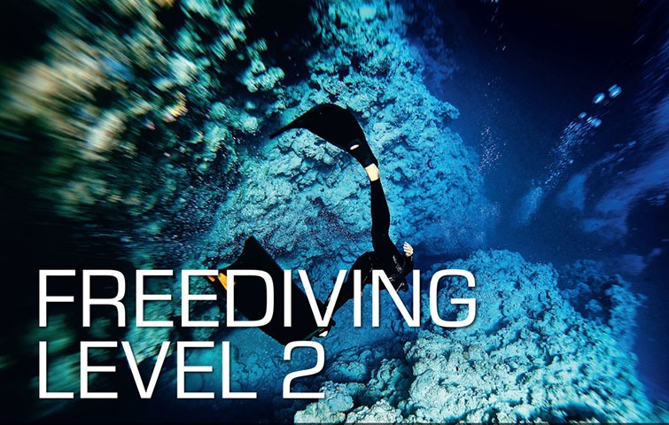 Freediving Level 2